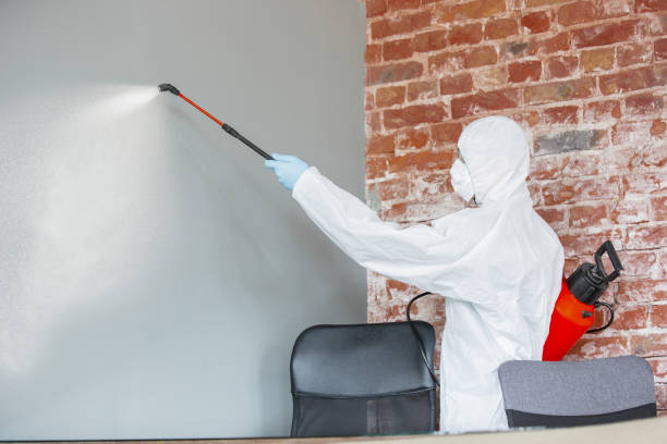 Stratmoor, CO Mold Removal Pros