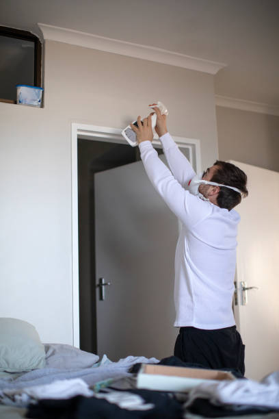 Best Basement Mold Removal  in Stratmoor, CO